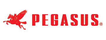 Colleteuse PEGASUS W562PV-02GX356